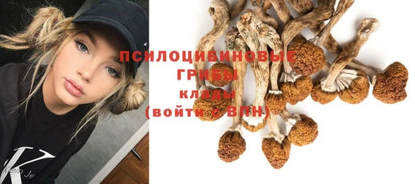 молекула духа Алзамай